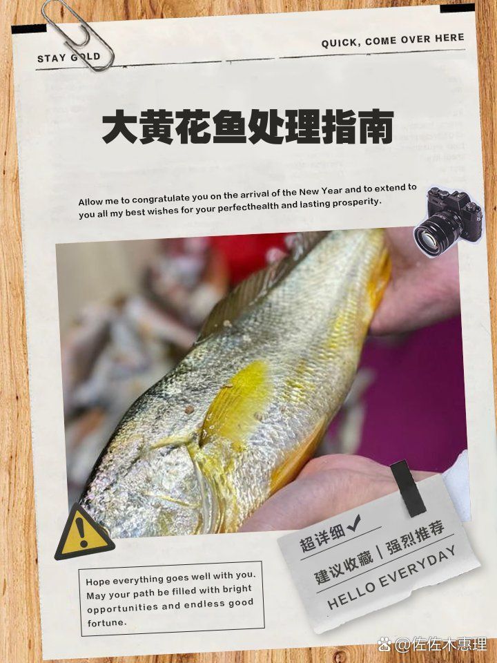如何安全地處理魚以避免寄生蟲感染？