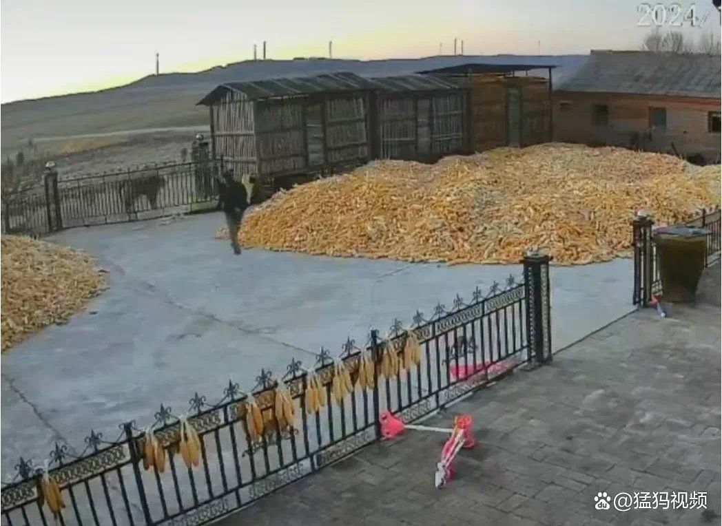 老虎見(jiàn)人就咬嗎