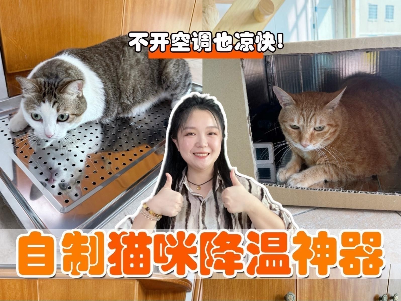 如何預防六角恐龍中暑？