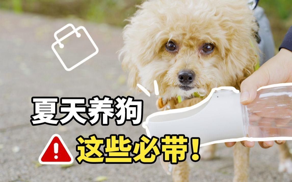 如何預防六角恐龍中暑？