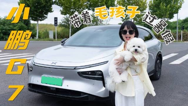 如何預防六角恐龍中暑？