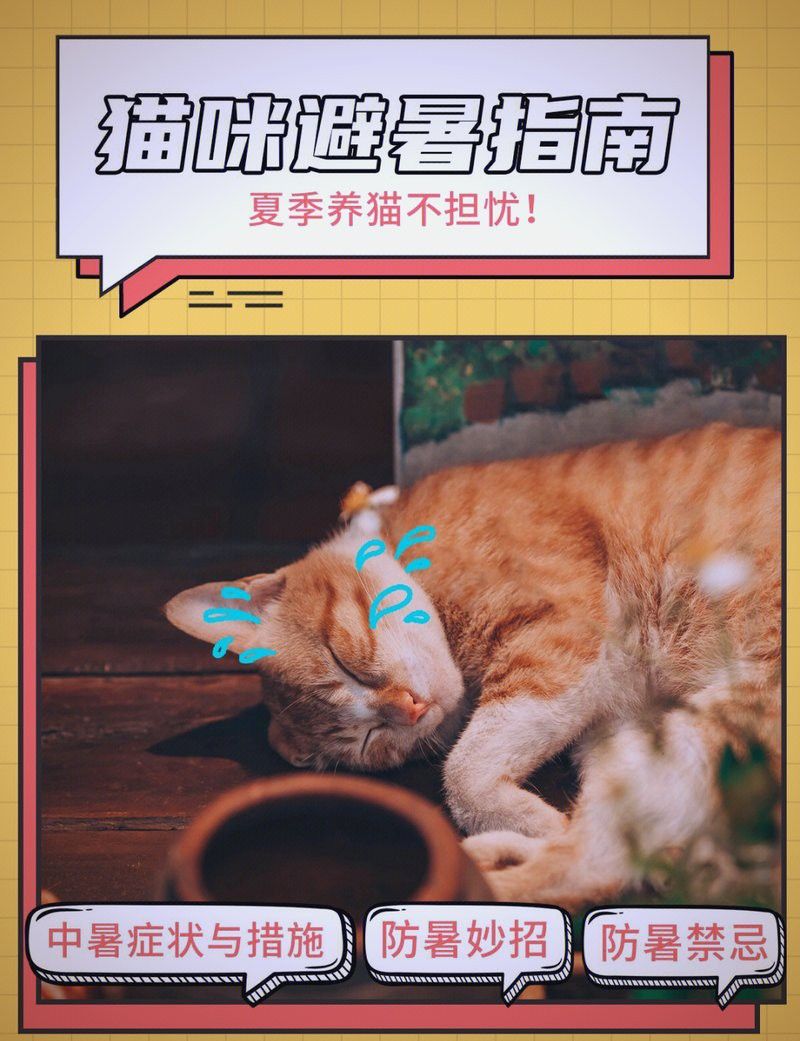 如何預防六角恐龍中暑？