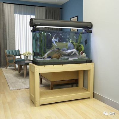 龍魚飼養溫度范圍：龍魚的飼養溫度是非常關鍵的，合適的水溫可以保證龍魚健康和生長