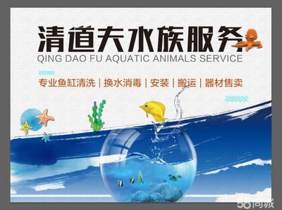 長春魚缸定做定制（長春有多家店鋪和服務商提供了魚缸定做服務提供服務）