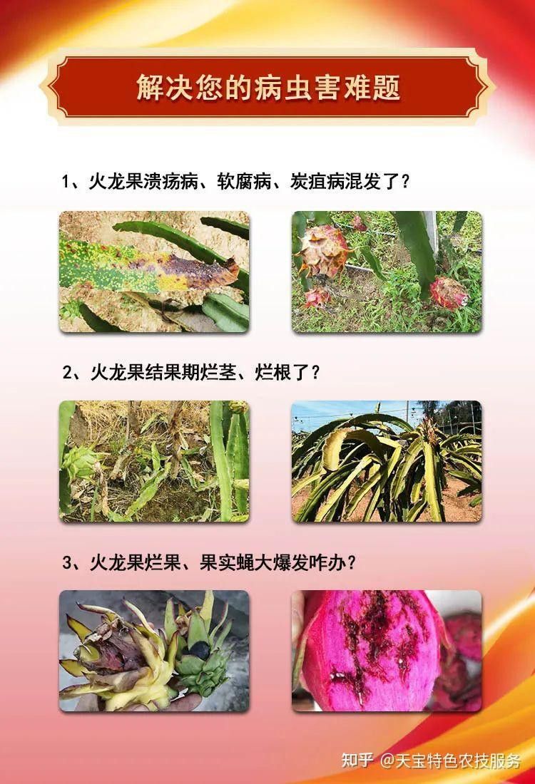 如何預(yù)防小火龍脫水？ 如何預(yù)防小火龍脫水？ 龍魚百科 第1張