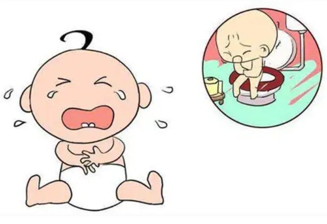 如何預(yù)防小火龍脫水？ 如何預(yù)防小火龍脫水？ 龍魚百科 第7張