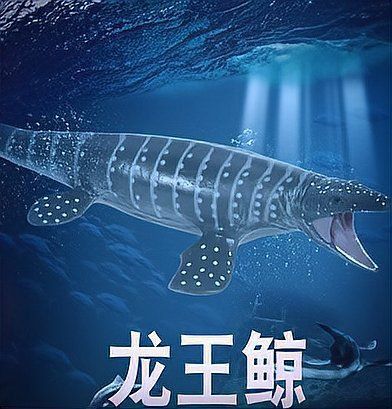 龍王鯨最后被誰殺的