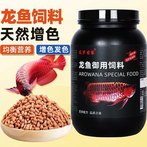 紅龍魚增色飼料有哪些推薦