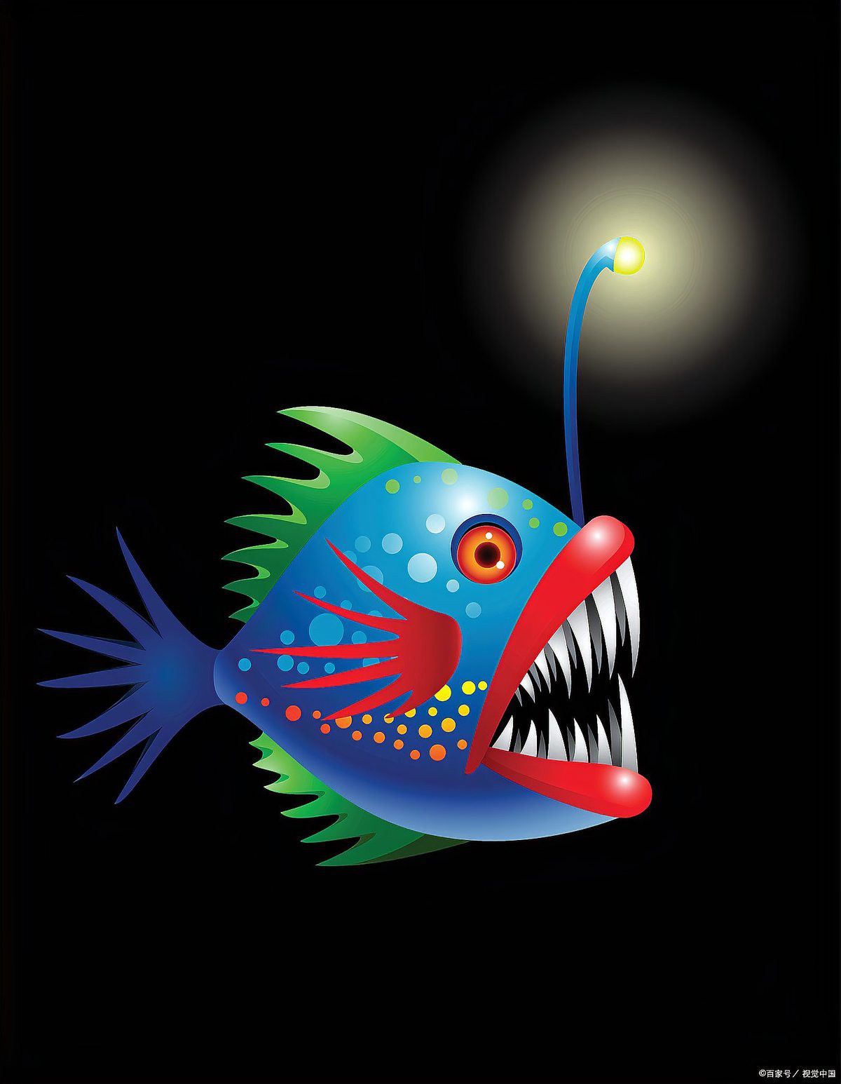 燈籠龍魚