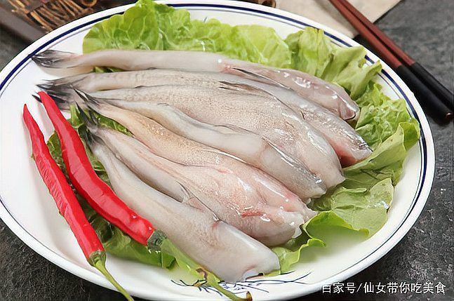 燈籠龍魚
