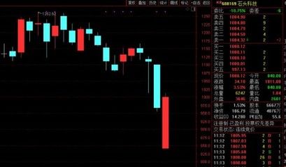 如何調整紅龍魚的狀態視頻教程（如何調整紅龍魚的狀態視頻教程下載）