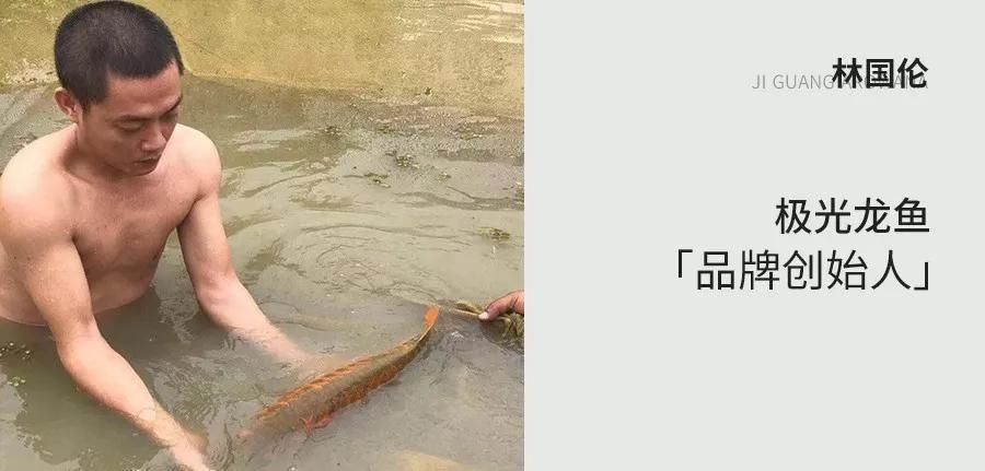 龍魚的常見病癥有哪些圖片大全：如何判斷龍魚是否患有疾病
