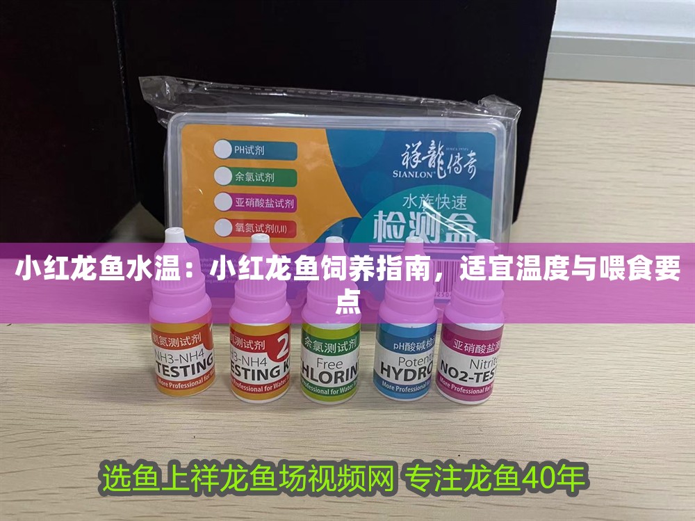 小紅龍魚水溫：小紅龍魚飼養(yǎng)指南，適宜溫度與喂食要點(diǎn)
