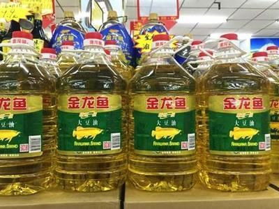 買什么金龍魚漂亮又便宜又好養呢（如何購買一只既漂亮又便宜且易于養殖的金龍魚）