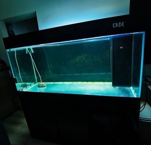 2024年龍魚缸十大品牌排行榜_龍魚缸哪個牌子好：2024年龍魚缸十大品牌排行榜
