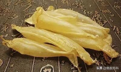 金龍魚魚膠種類有哪些（金龍魚膠與黃花膠的區別如何辨別金龍魚膠的質量）