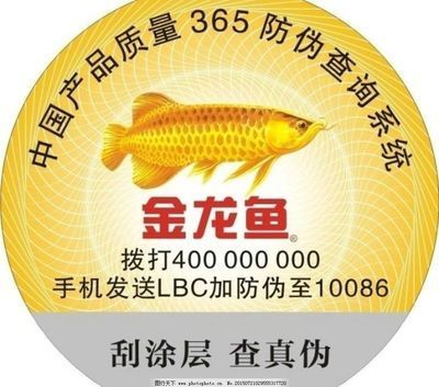 金龍魚掃芯片號碼查詢【金龍魚的芯片查詢】