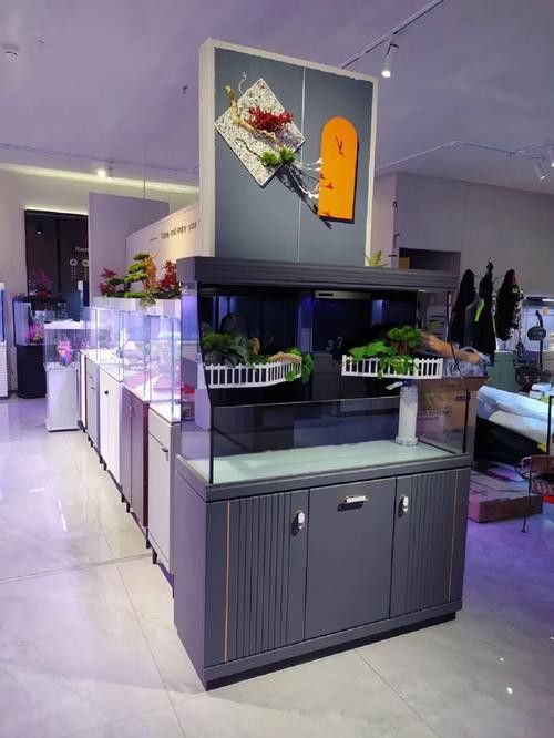 天津西龍魚缸專賣店在哪兒啊