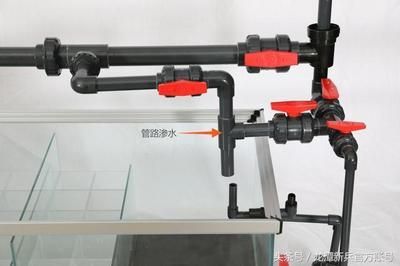 彩蝶龍?zhí)缎卤~缸安裝視頻：彩蝶龍?zhí)缎卤~缸安裝教程