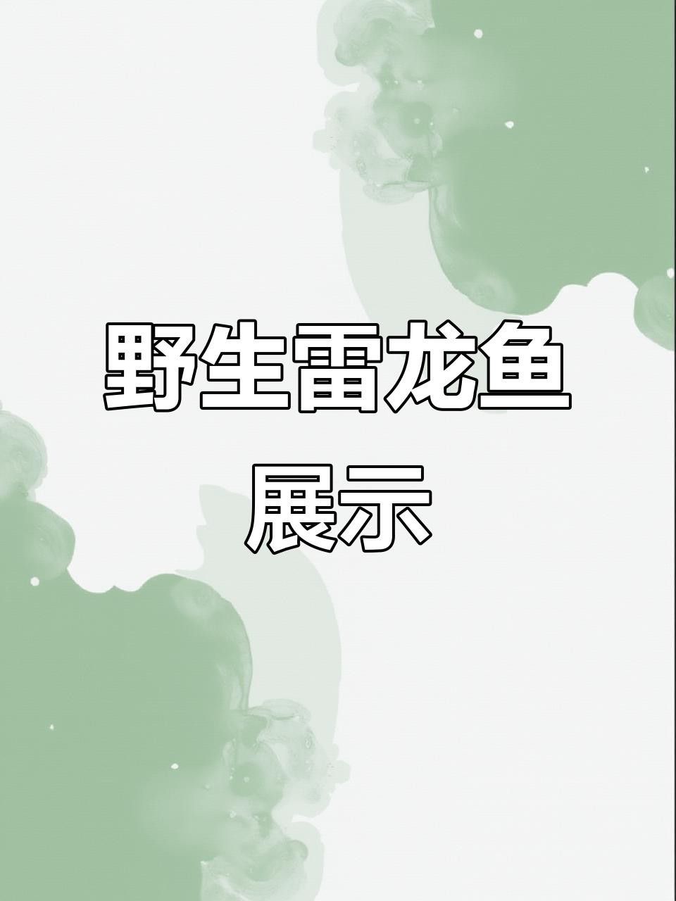 如何挑選新鮮的雷龍魚？