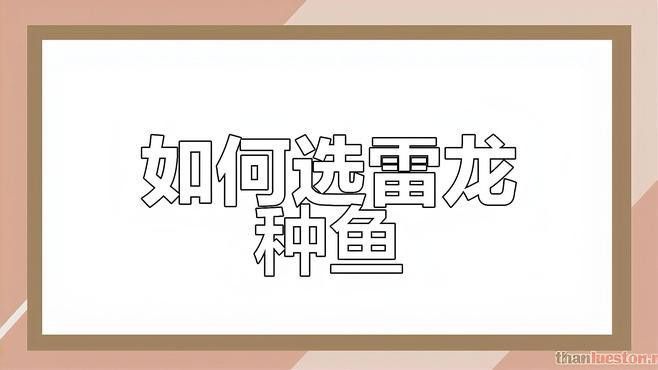 如何挑選新鮮的雷龍魚？ 如何挑選新鮮的雷龍魚？ 龍魚百科 第4張