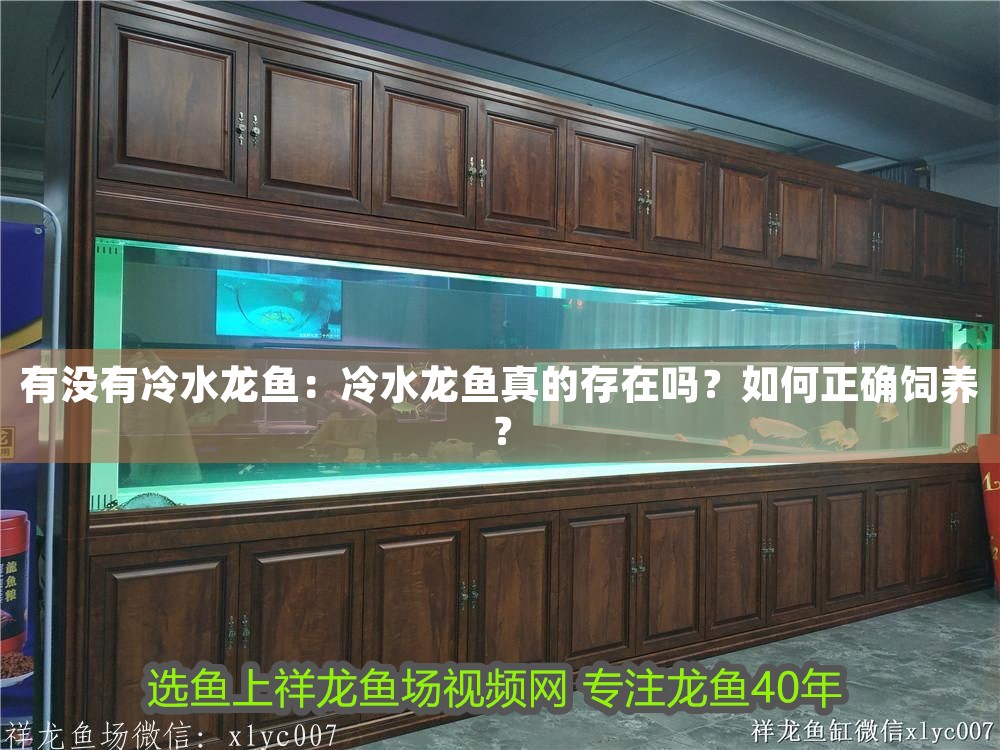 有沒有冷水龍魚：冷水龍魚真的存在嗎？如何正確飼養(yǎng)？