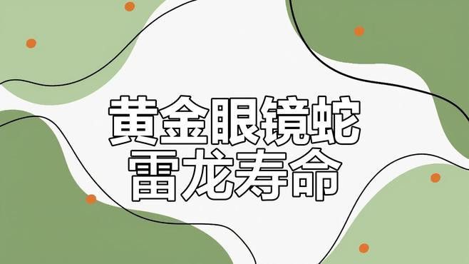 金色雷龍魚多少錢一條圖片
