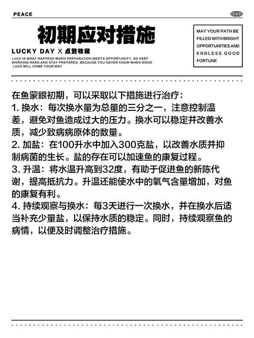 龍魚眼睛看不見怎么辦呢圖片