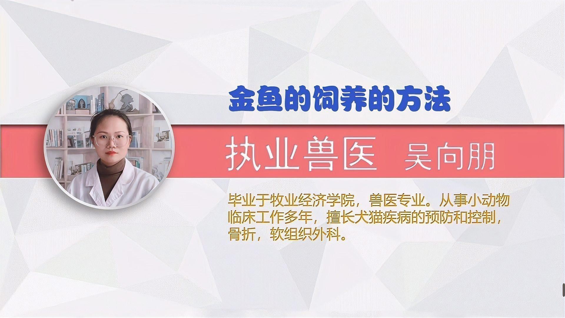 雷龍魚和金魚哪個好養(yǎng)活