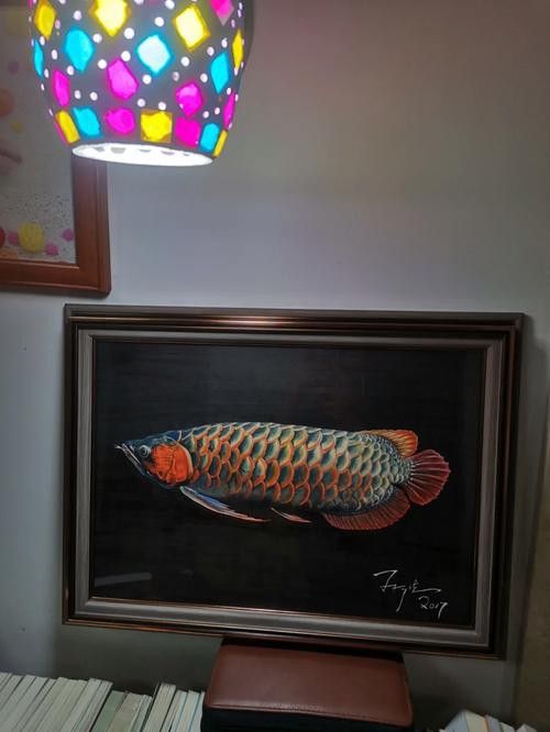 紅龍魚壁紙高清無水印