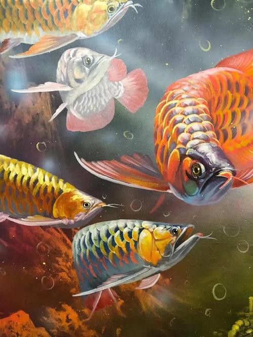 紅龍魚壁紙高清無水印