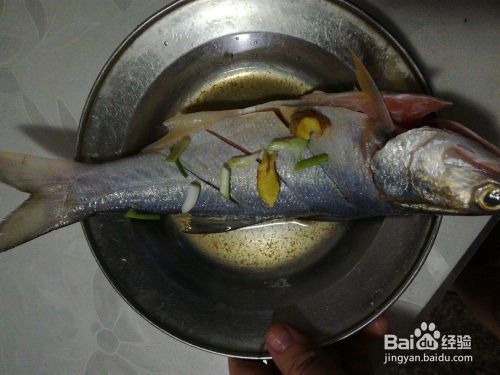 龍魚怎么蒸：清蒸龍魚怎么做？ 龍魚怎么蒸：清蒸龍魚怎么做？ 龍魚百科 第2張