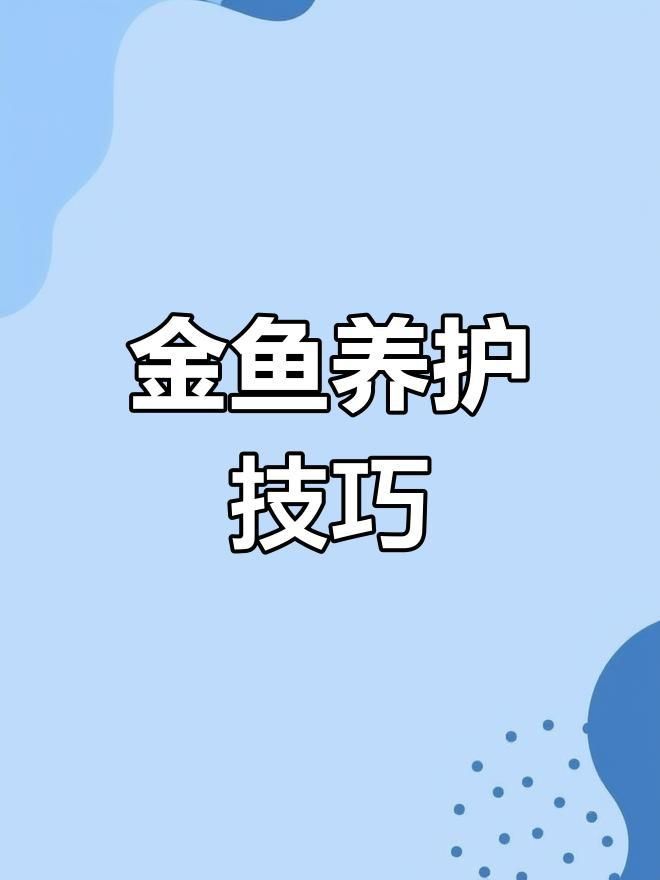 金魚日常護(hù)理要點