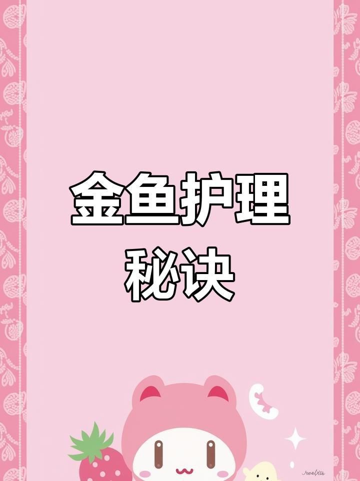金魚日常護(hù)理要點
