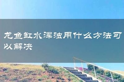 龍魚缸水突然變渾濁：如何預(yù)防龍魚缸水突然變渾濁的問題