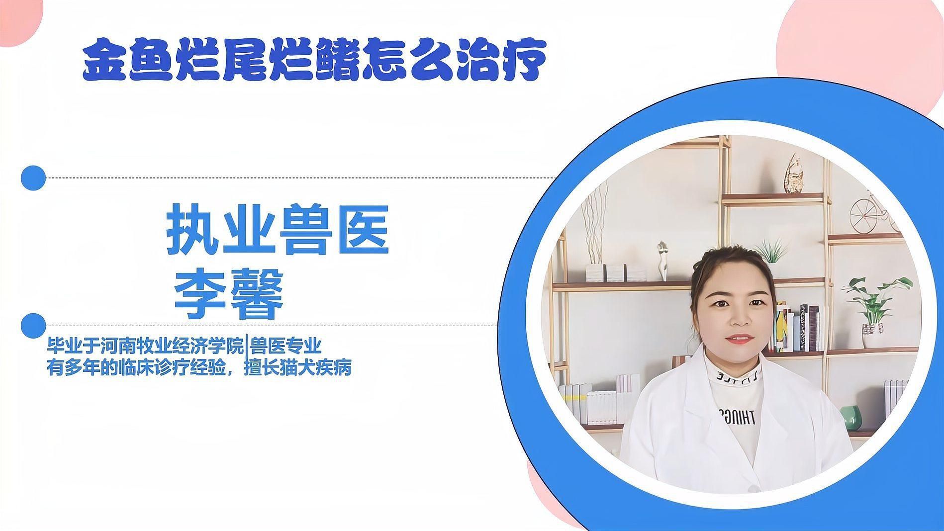 金魚爛尾怎么治療最快
