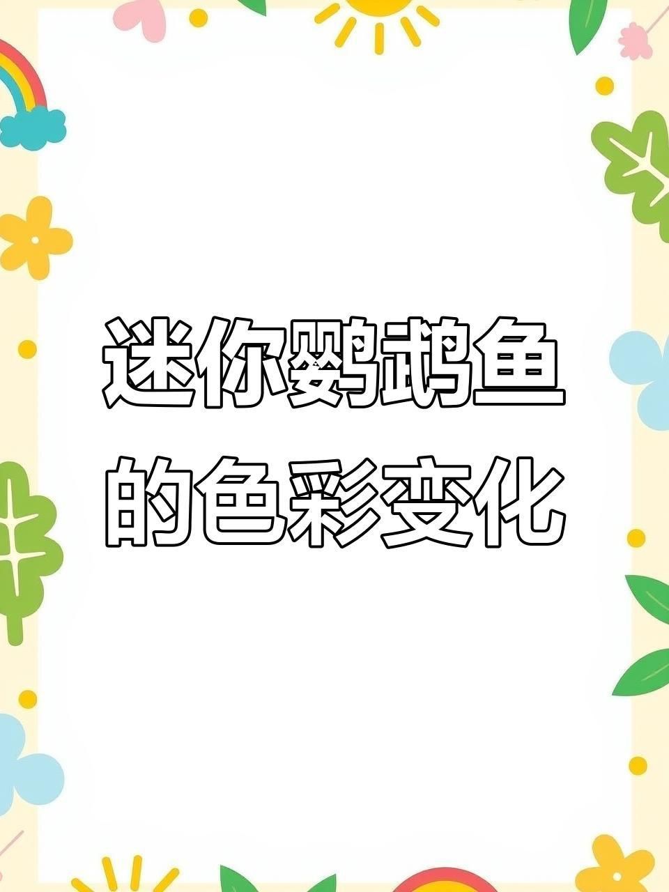 迷你鸚鵡魚的四種顏色