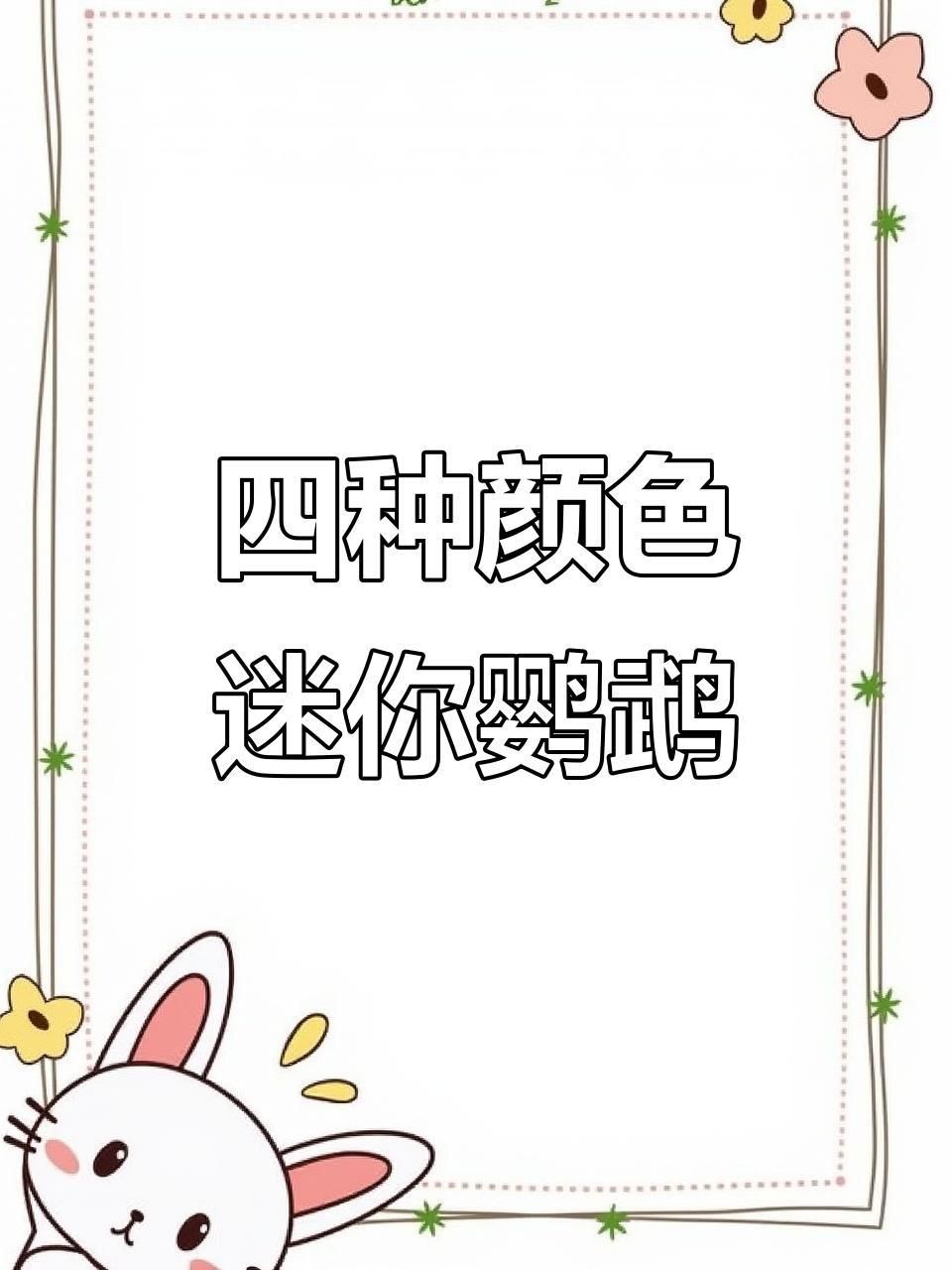 迷你鸚鵡魚的四種顏色