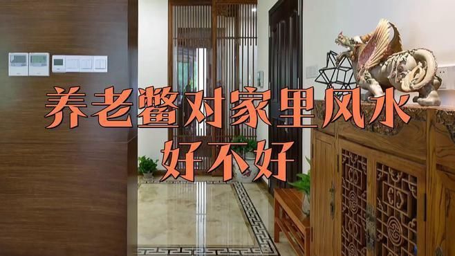 鱉在風(fēng)水學(xué)中真的不<strong><mark>吉利</mark></strong>嗎？