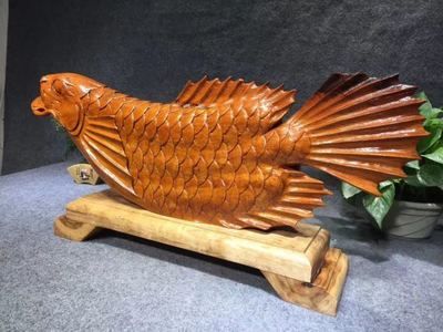 緬甸金龍魚（緬甸政府已立法禁止捕撈金龍魚）