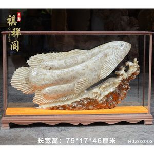 緬甸金龍魚（緬甸政府已立法禁止捕撈金龍魚）
