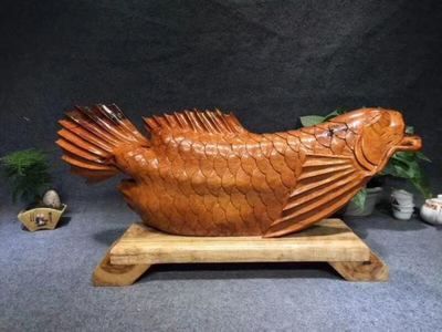 緬甸金龍魚（緬甸政府已立法禁止捕撈金龍魚）