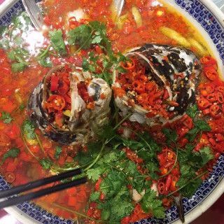 九龍魚頭在長沙有幾家店面：九龍魚頭在長沙有幾家店面？