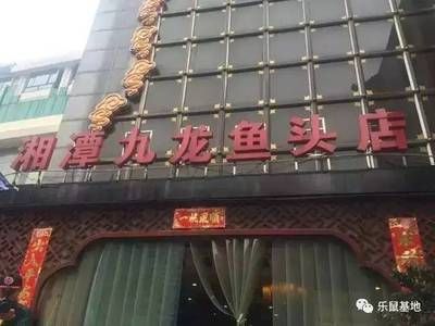 九龍魚頭在長沙有幾家店面：九龍魚頭在長沙有幾家店面？