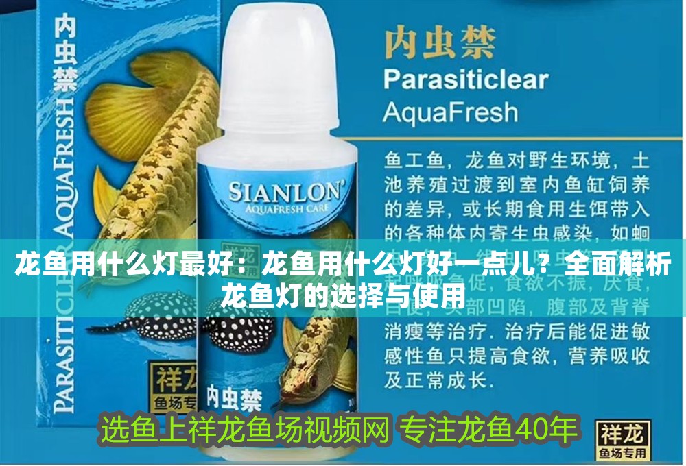 龍魚用什么燈最好：龍魚用什么燈好一點兒？全面解析龍魚燈的選擇與使用