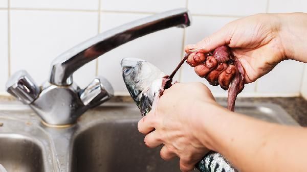 龍魚鰓蓋小洞的治療周期是多久？