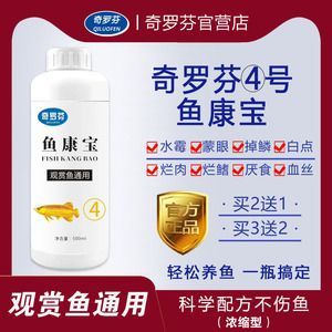 龍魚水霉用什么藥效果好（如何治療龍魚水霉病）