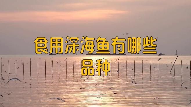 哪種海魚好吃