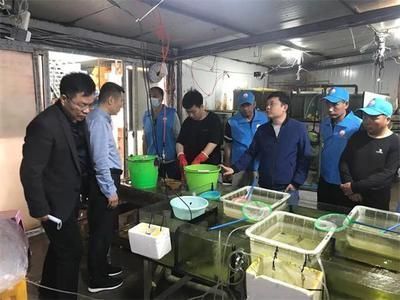 龍魚如何運輸：龍魚缸運輸的詳細流程