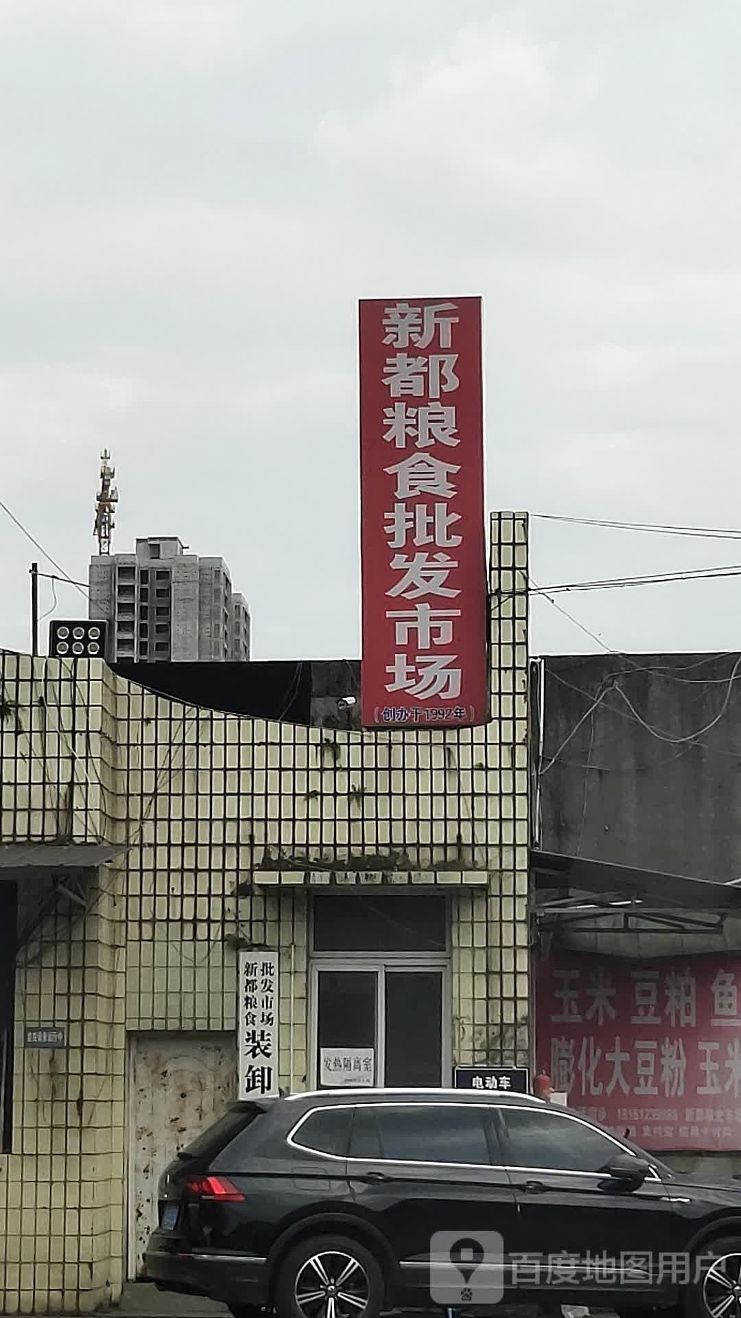 成都龍魚批發市場在哪里啊
